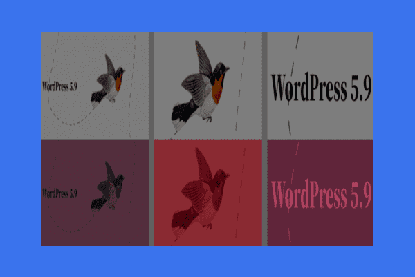 Jakie nowe ustawienia dla galerii są dostępne w WordPress 5.9?