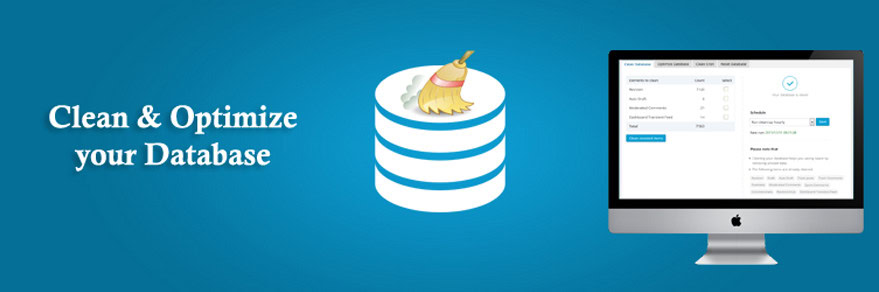 Jakie modyfikacje wprowadzono w Edytorze witryny? WordPress 6.6 i budowanie stron.